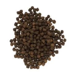 DE HENGELSHOP Purple Pellets - 25kg -Kingraal winkel de hengelshop purple pellets 25kg pellets 2