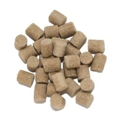 DE HENGELSHOP Super Carp Pellets - 1kg -Kingraal winkel de hengelshop super carp pellets 1kg pellets 2